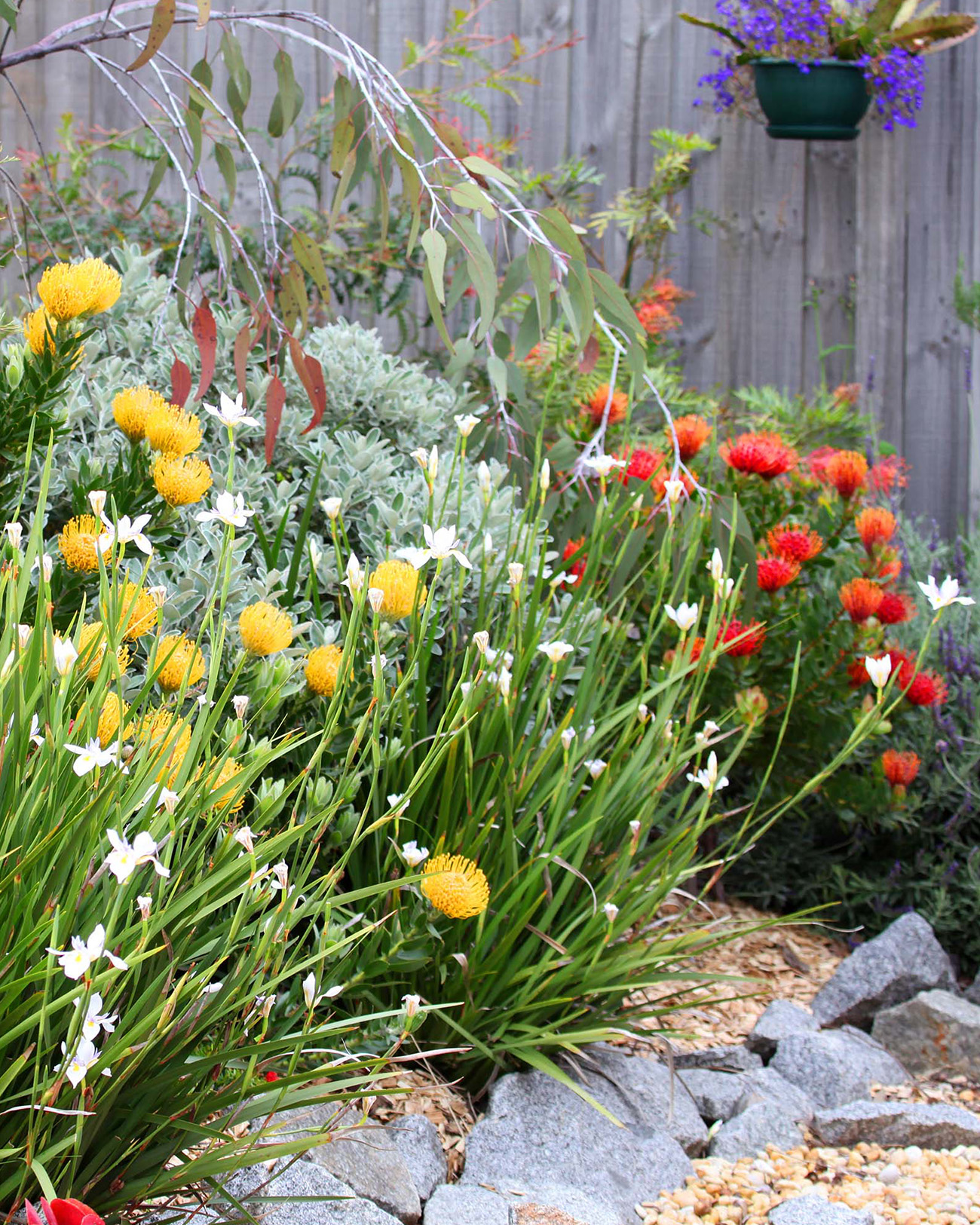 Garden Maintenance Landscaping Venus Bay Mowing Airbnb Holiday Homes.jpeg Garden Maintenance Landscaping Venus Bay Mowing Airbnb Holiday Homes.jpeg