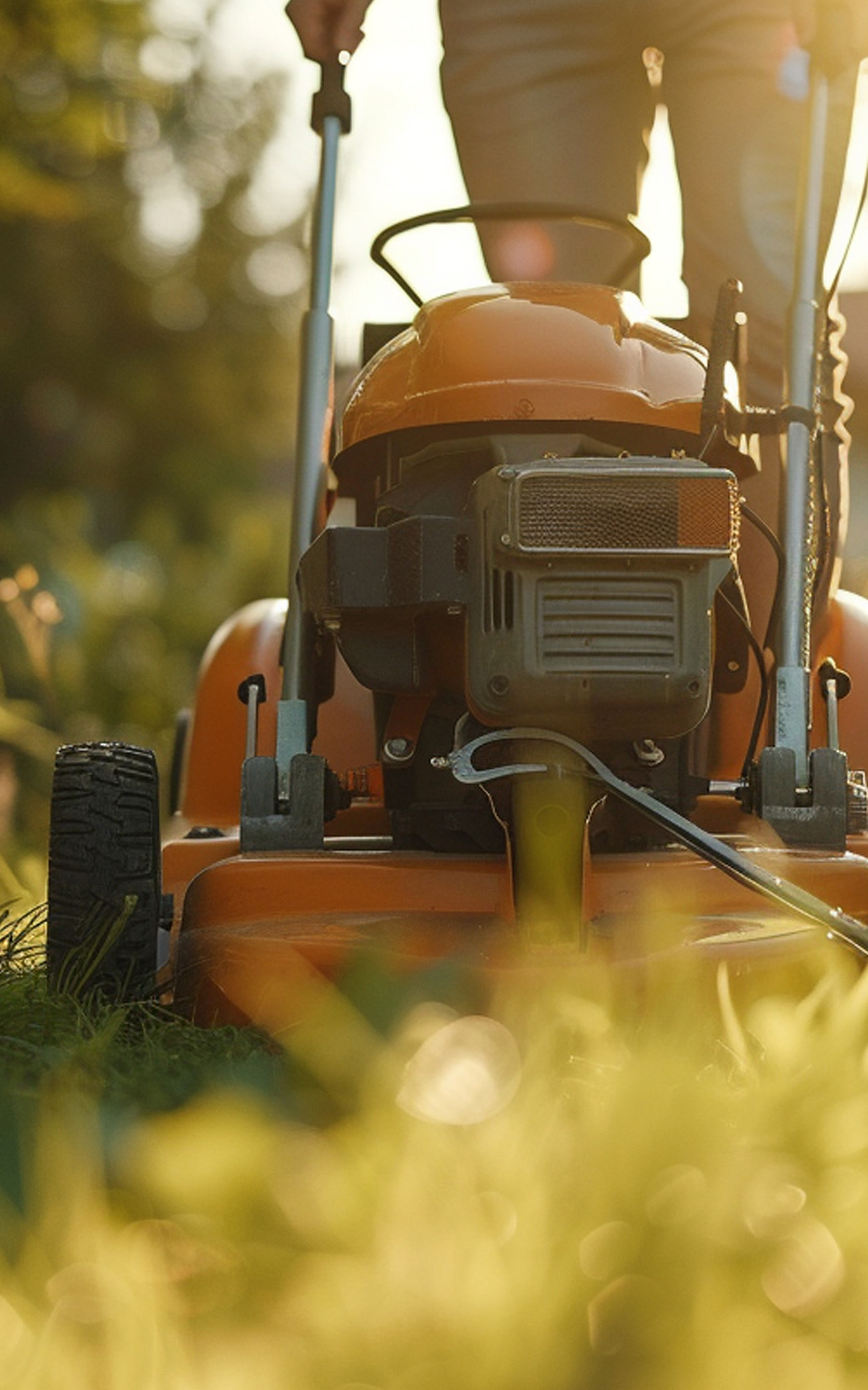 Landscaping Mowing Brushcutting Watering Gardens Venus Bay Inverloch Walkerville Tarwin Lower Landscaping Mowing Brushcutting Watering Gardens Venus Bay Inverloch Walkerville Tarwin Lower